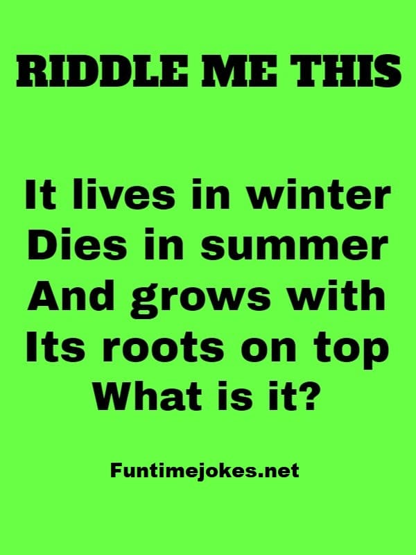 it-lives-in-winter-dies-in-summer-and-grows-with-its-roots-on-top